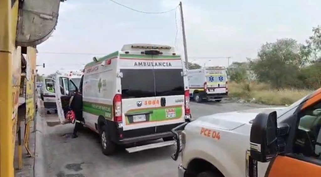  • Guadalupe Informa